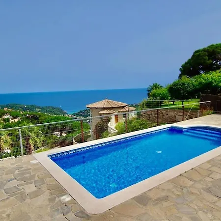 V&v Lloret- Violetes