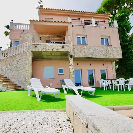 V&v Lloret- Violetes *