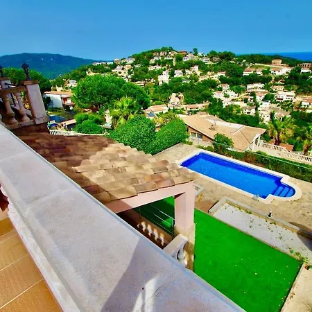 V&v Lloret- Violetes Lloret de Mar