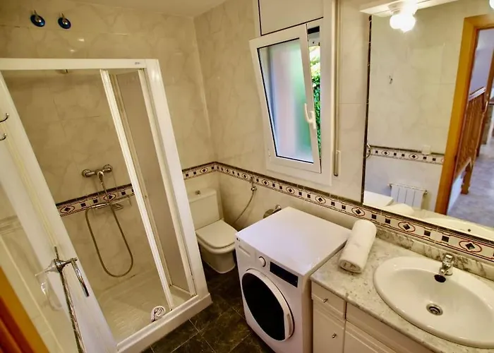 V&v Lloret- Violetes