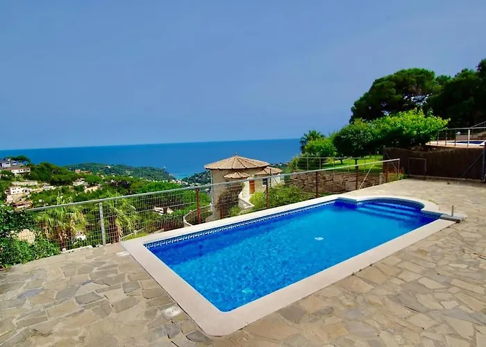 V&v Lloret- Violetes