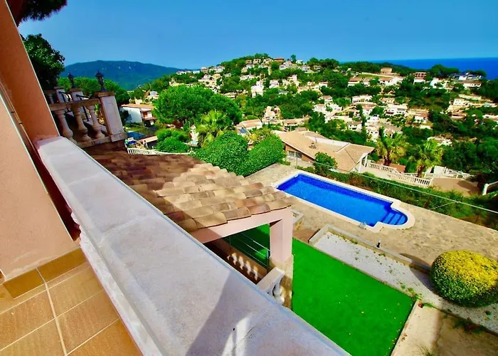 V&v Lloret- Violetes Lloret de Mar