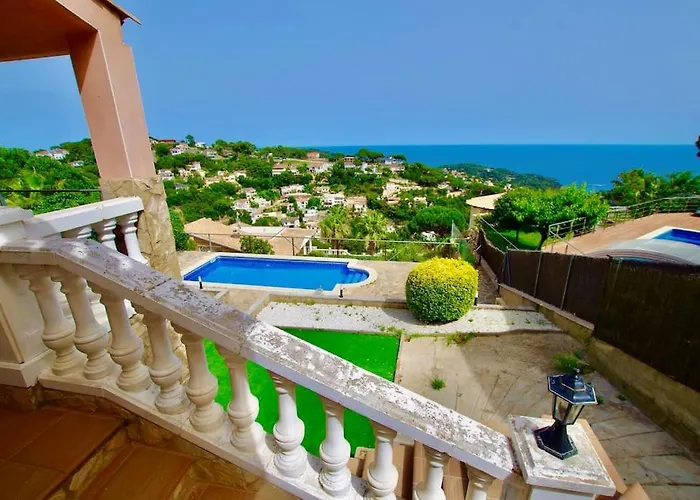 V&v Lloret- Violetes Lloret de Mar