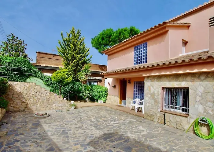 V&v Lloret- Violetes * Lloret de Mar