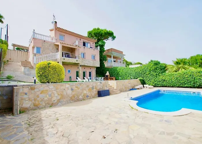 V&v Lloret- Violetes