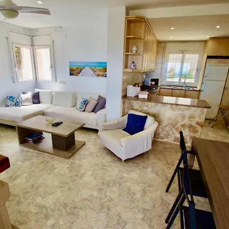 V&v Lloret- Violetes *