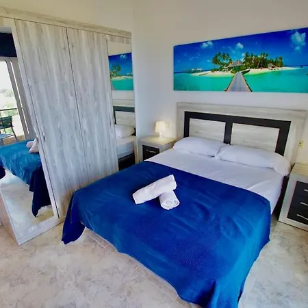 V&v Lloret- Violetes * Lloret de Mar