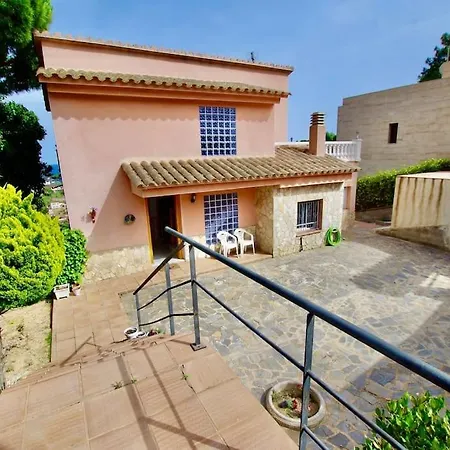 V&v Lloret- Violetes * Lloret de Mar