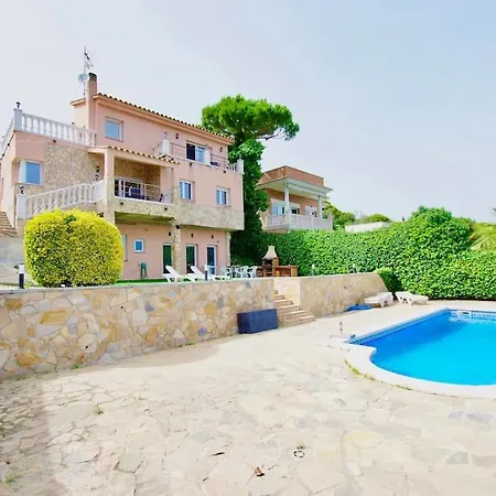 V&v Lloret- Violetes