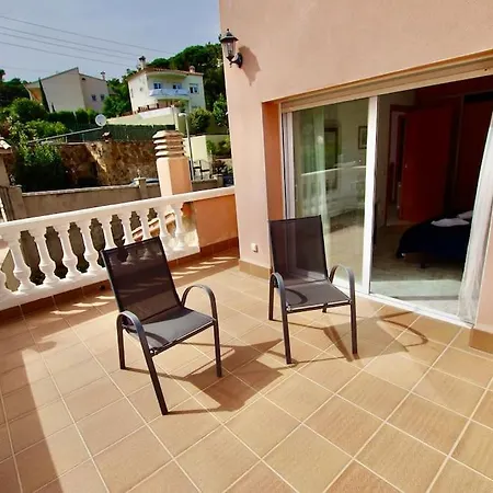 V&v Lloret- Violetes * Lloret de Mar