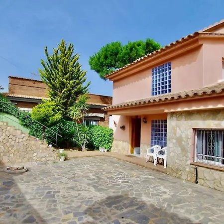 V&v Lloret- Violetes * Lloret de Mar