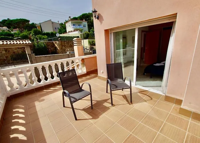 V&v Lloret- Violetes * Lloret de Mar