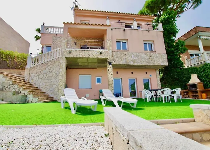 V&v Lloret- Violetes *