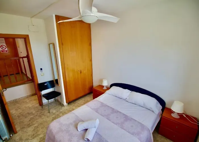 V&v Lloret- Violetes * Lloret de Mar